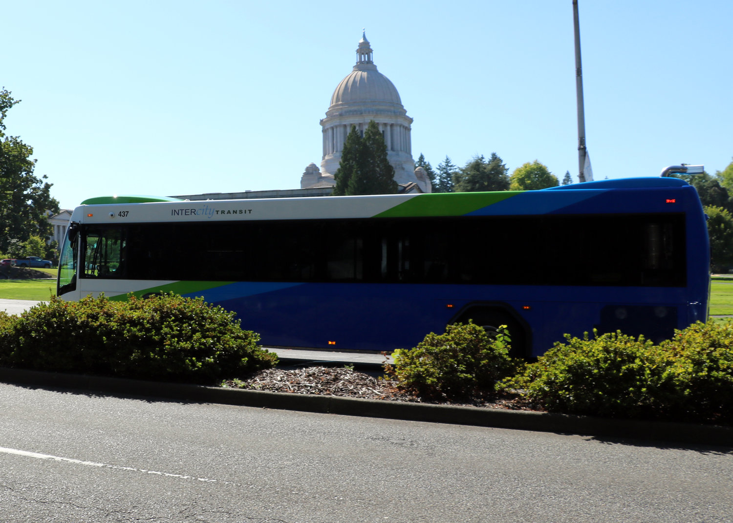 One of Intercity Transit's newer full-size busses passes in the east side of the Legislative Building on the Washington State Capitol Campus on Route 13.