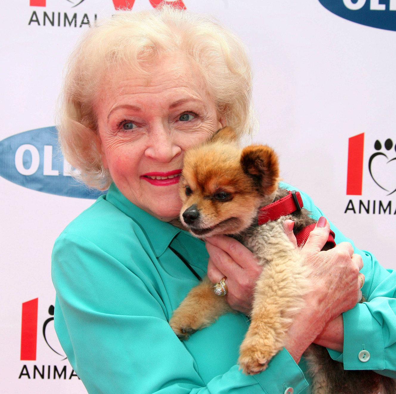 The #BettyWhiteChallenge highlights the growth of animal philanthropy and  the role of rescues | The JOLT News Organization, A Washington Nonprofit  Organization