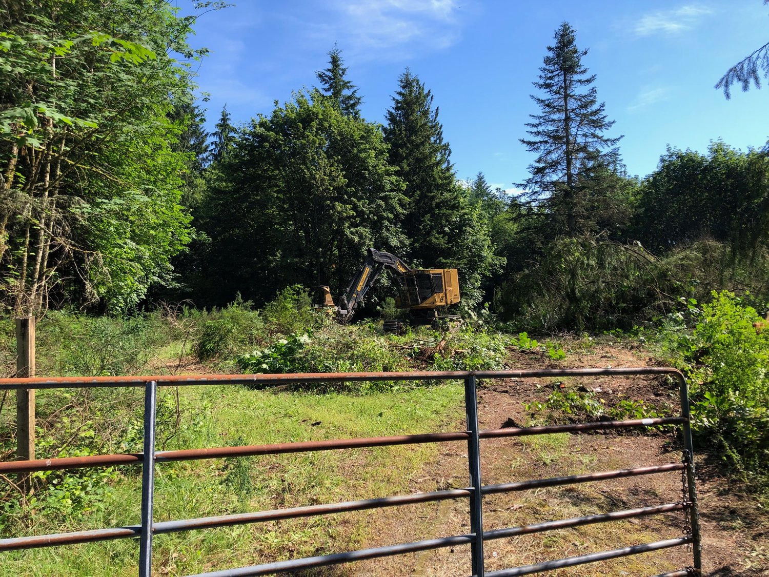 Logging operations at Cooper Crest Forest started at 8 a.m. on June 27, 2022.